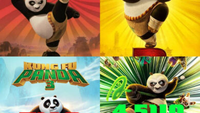 Kung Fu Panda Movies in Order